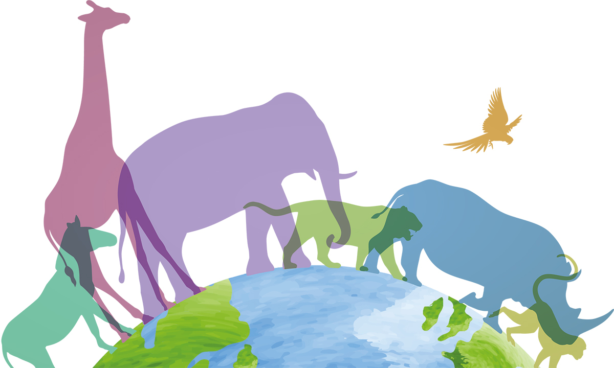 야생이 없으면 인생도 없다