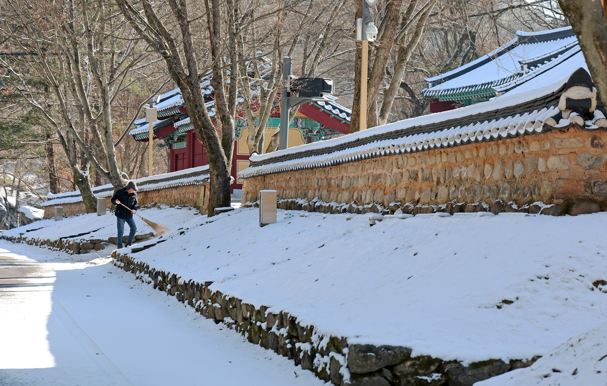 ”겨울 수채화“…충북 괴산에 첫눈은 ‘자연의 선물’