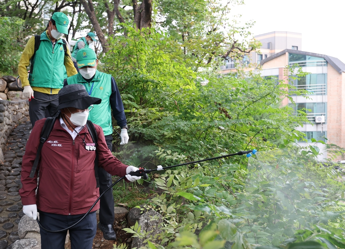 “겨울에도 모기가?” 마포구, 월동 모기 선제 대응에 나선다 [지금 우리 동네는]