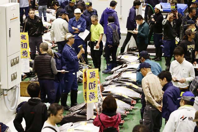 “어쩐지 싸고 양 많더라”…수산시장 찌꺼기 주워 판 식당