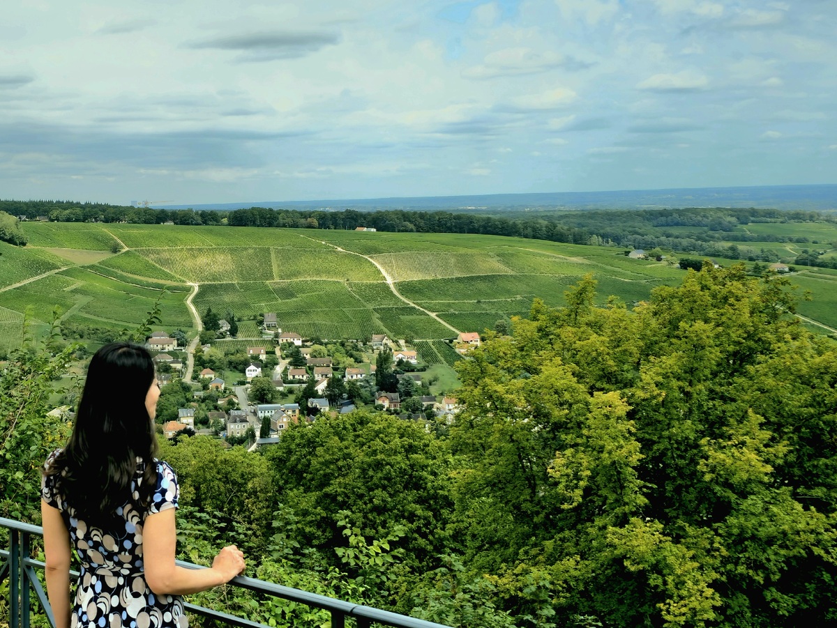 상세르 vs 푸이 퓌메…소비뇽 블랑 좋아하는 당신의 선택은? [최현태 기자의 와인홀릭]