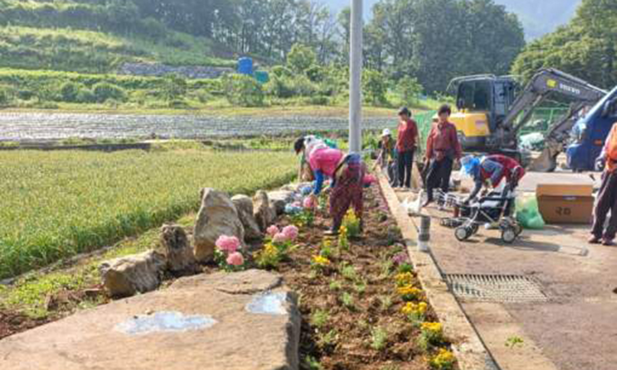 “소일거리로 건강 찾고 돈 벌고”… 단양 두항리 어르신들 신바람