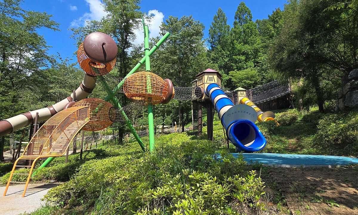 “놀이부터 치유까지”…청주시, 산림~도심 잇는 ‘가족여가벨트’ 속도 낸다