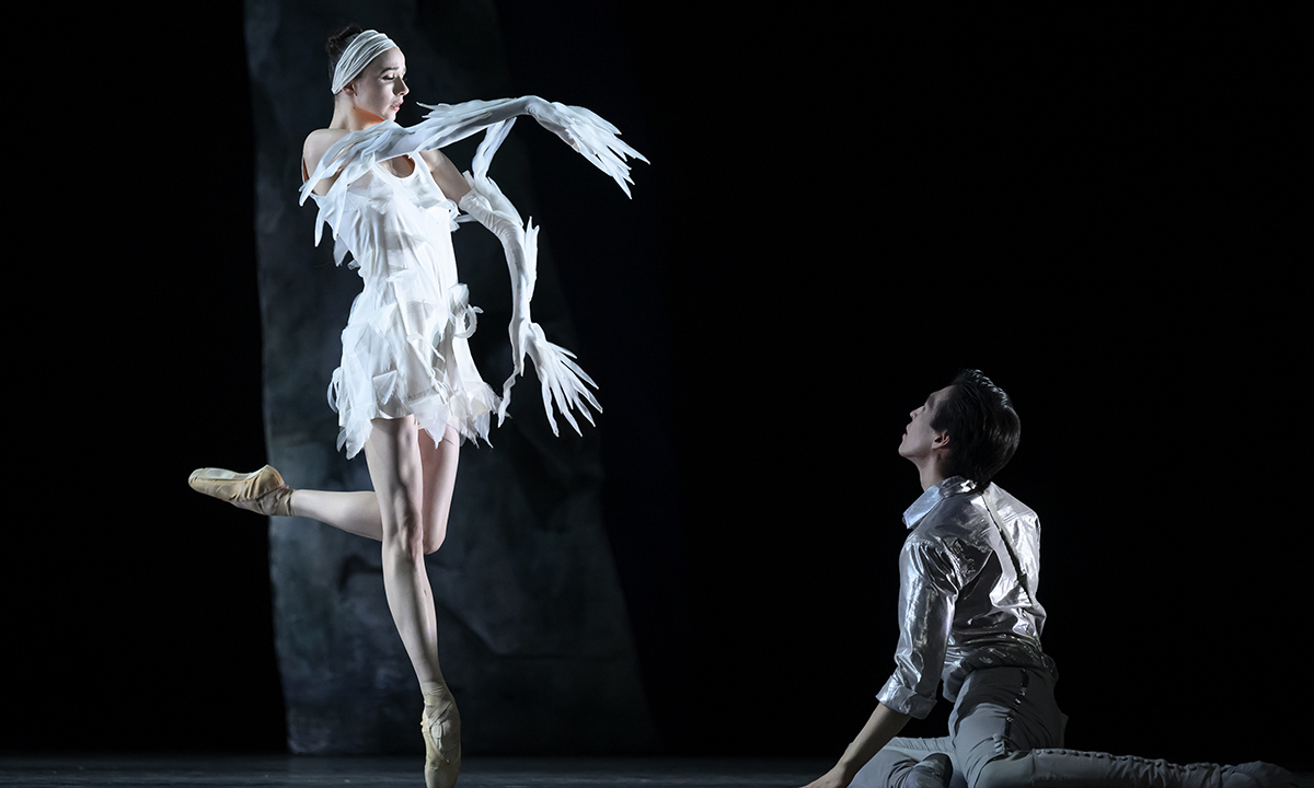 잔혹 동화로 거듭난 마이요 ‘백조의 호수’