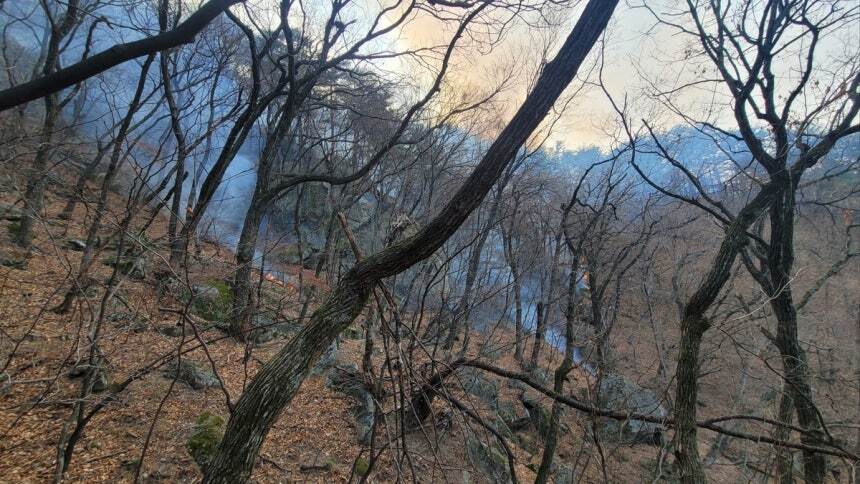 강릉시 연곡면 산불 2시간30분만 진화… 산림 2㏊ 소실