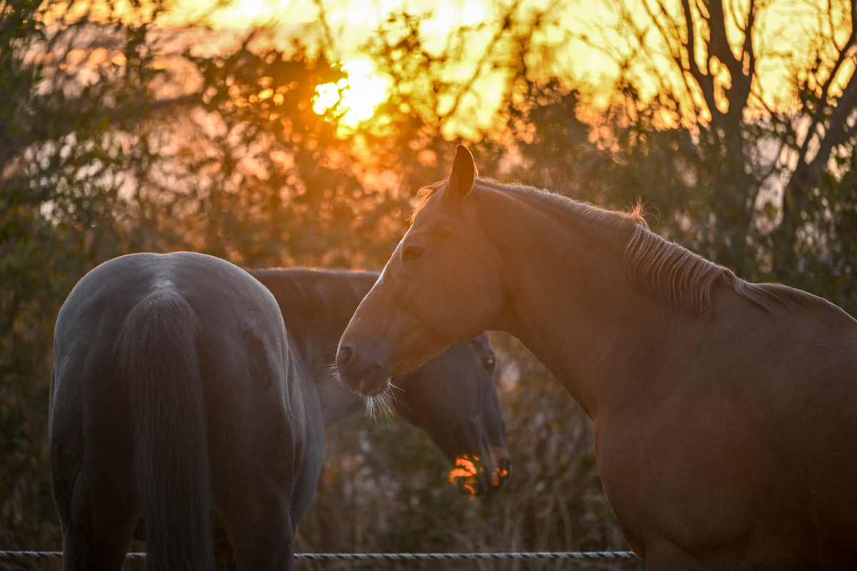 벅찬 감동이 ‘응급실행’ 되지 않으려면…가족 위한 해돋이 안전 가이드