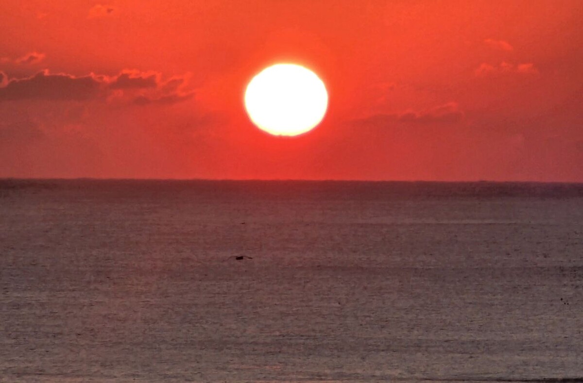 인생의 새로고침 ‘새해 일출’…‘병오년’ 첫 해 어디서 볼까
