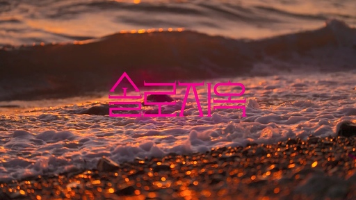 안방극장 올해도 ‘연애 예능’ 총공세