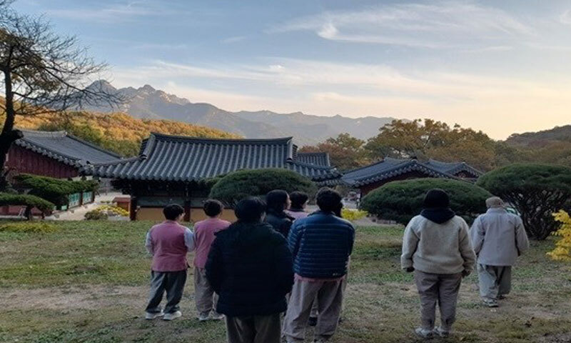 ‘붉은 말의 해’ 사찰서 심신 돌아볼까