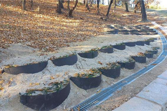 대구 동구, 신암공원 ‘사면 안정화 특허공법 사업’ 완료