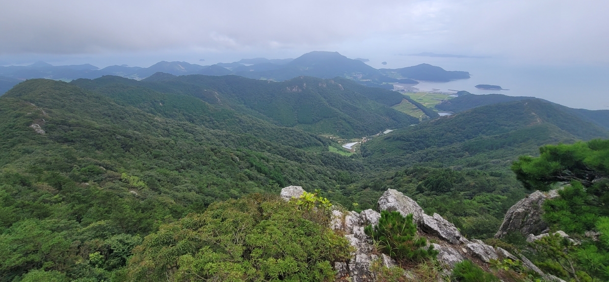 전남도, 1340억 규모 ‘산림 3대 신규사업’ 국비 확보… 남부권 관광거점 ‘시동’