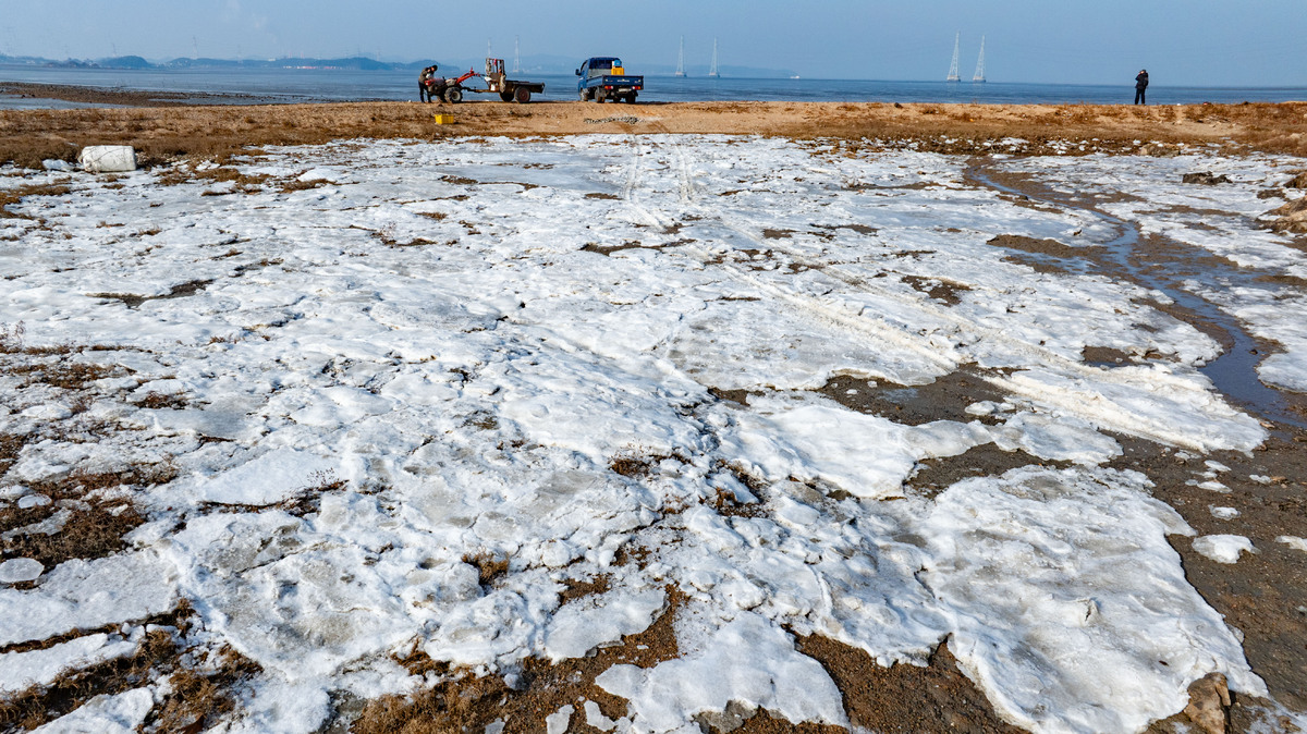 영하권 추위에 바다도 한강도 꽁꽁 [한강로 사진관]