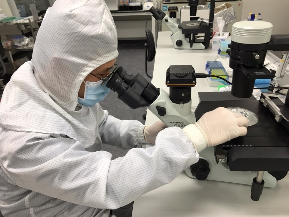 노보셀바이오, NK세포치료제 ‘글로벌 퀀텀점프’ 본궤도… 북미 진출 당위성 입증