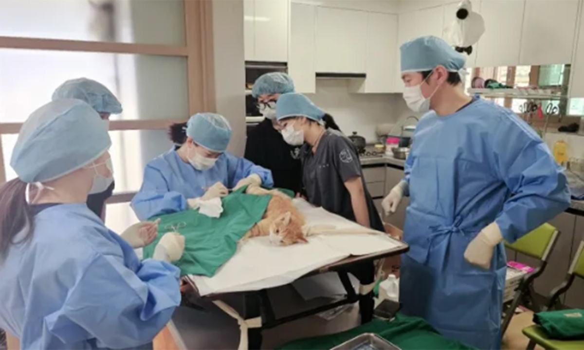 청주, 고향사랑기부금 활용… 동물 의료 사각지대 해소