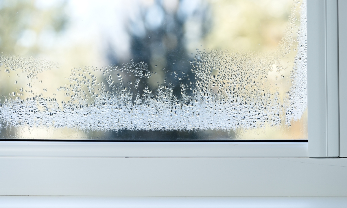집은 건조한데 곰팡이는 는다…겨울 결로가 건강까지 위협하는 이유