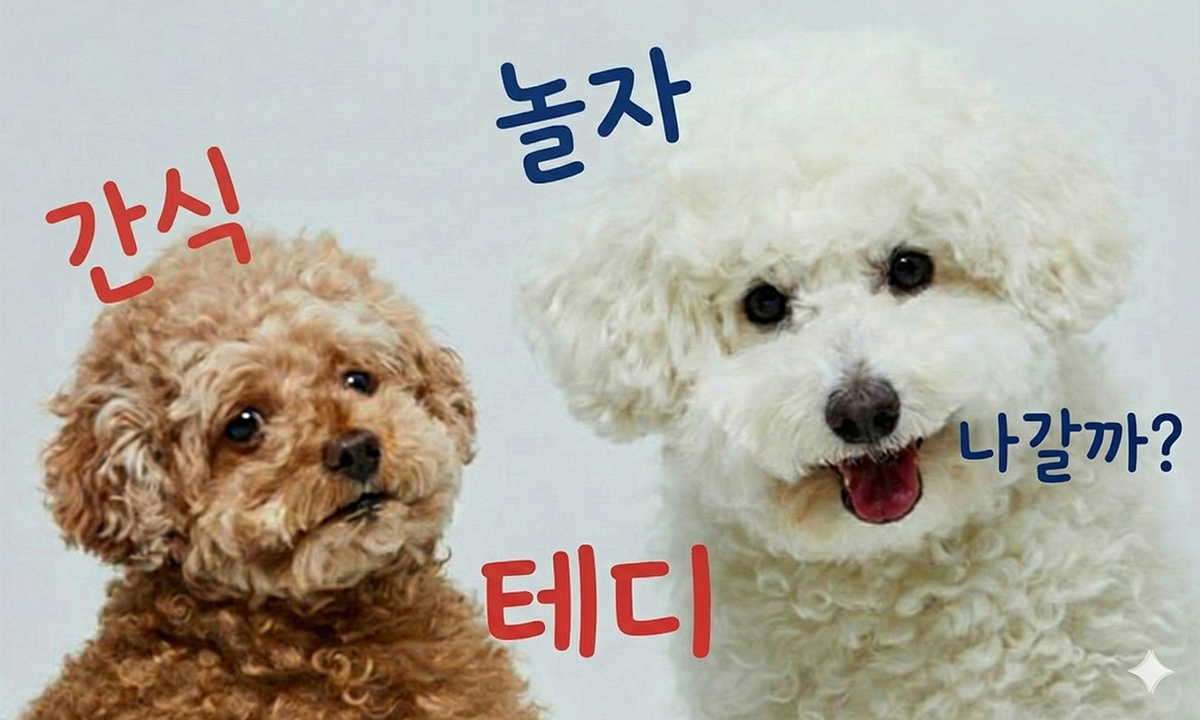 “‘간식’만 알아듣는 게 아니네?”…우리 마루도 상위 0.1% ‘단어 학습견’? [수민이가 궁금해요]