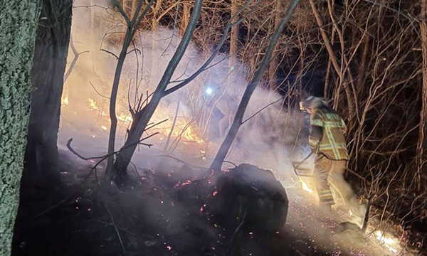 건조주의보 속 경북 경산서 새벽 산불…1시간 20여분 만에 주불 잡아