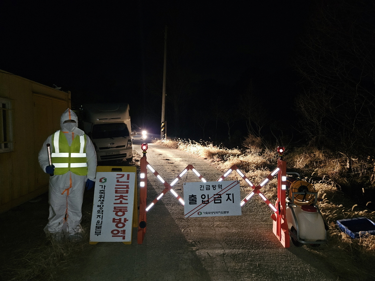나주 육용오리농장서 H5형 AI 항원 검출… 전남도, 긴급 방역 ‘비상’
