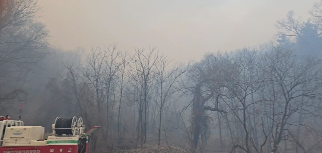 의성군 야산서 산불…강풍주의보 속 주민 대피명령