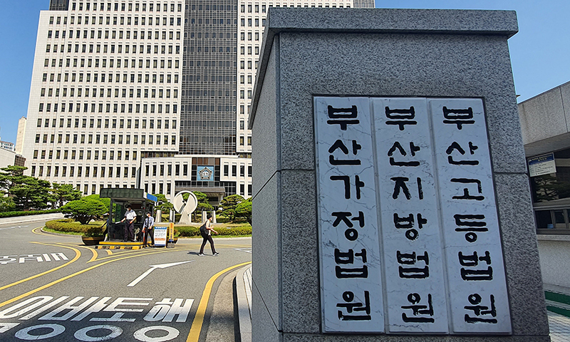 "수술비 급하다"더니 '고양이 분양'에 탕진… 썸남 속인 30대, 징역 6개월