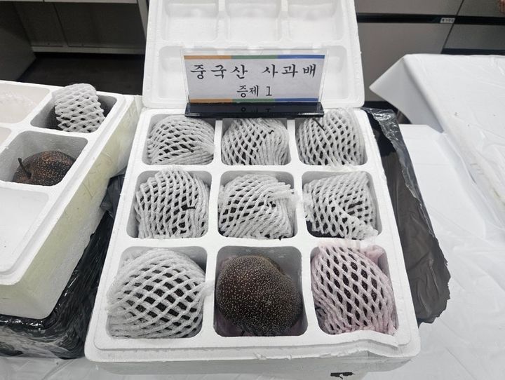 “반려동물 용품이라더니?”…적발된 상자 뜯자 ‘이것’ 우르르 쏟아졌다