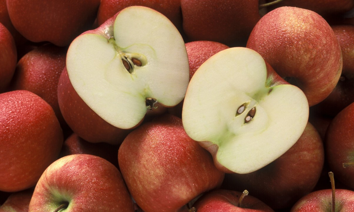 “콜라 아냐?” 한국인 ‘단맛 공급원’ 의외의 1위 [수민이가 궁금해요]