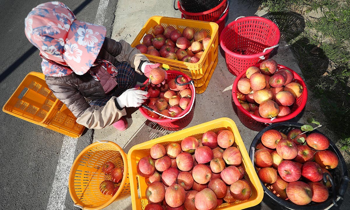 "콜라보다 사과?"… 한국인 당 섭취 1위의 '반전'