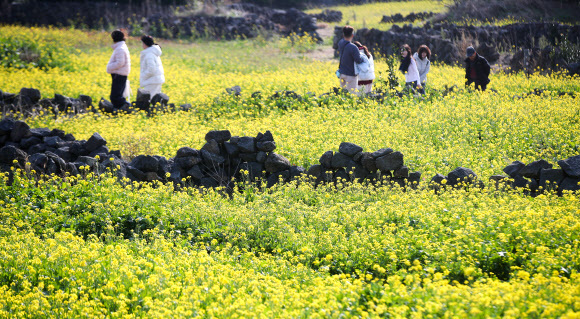내일 낮 최고 4~14도…‘대한’ 화요일부터 한파에 체감온도 뚝