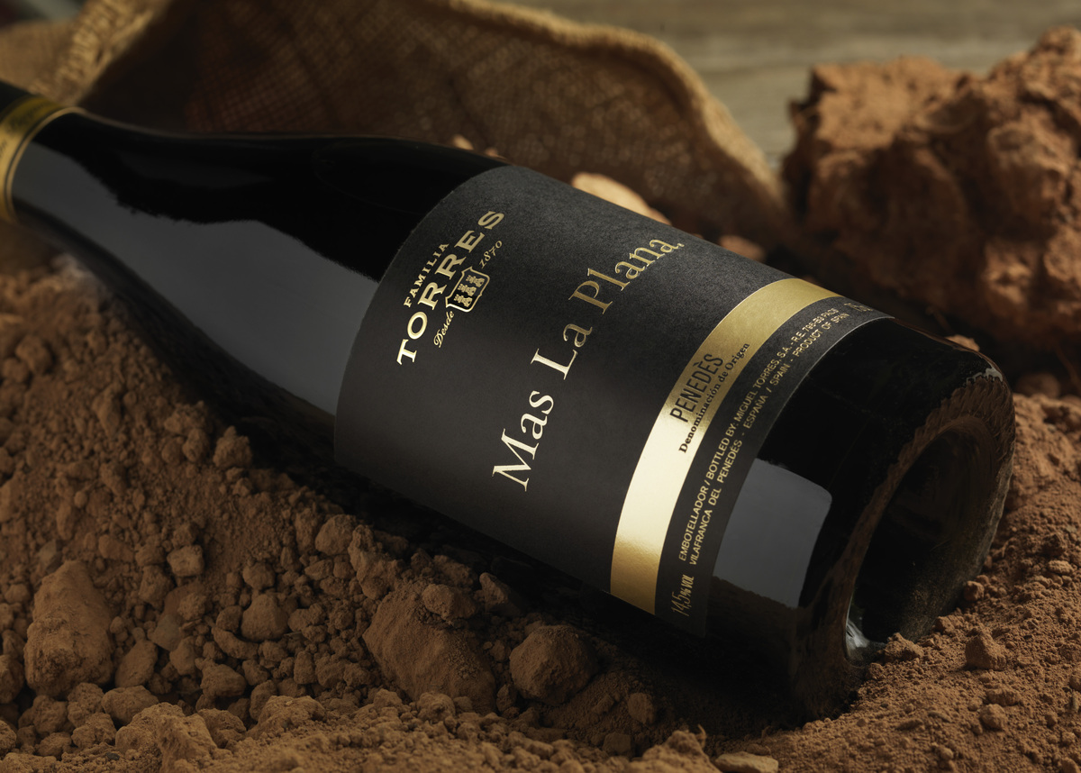 프랑스 샤토 와인 제치고 1위…금양인터내셔날, 스페인 와인 ‘토레스’ 수입