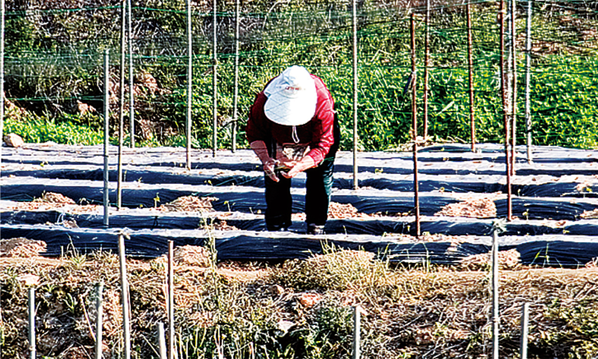 거꾸로 가는 치매 대응 예산에… “필수인력 필요” [심층기획-사각지대 놓인 농촌 치매 노인들]
