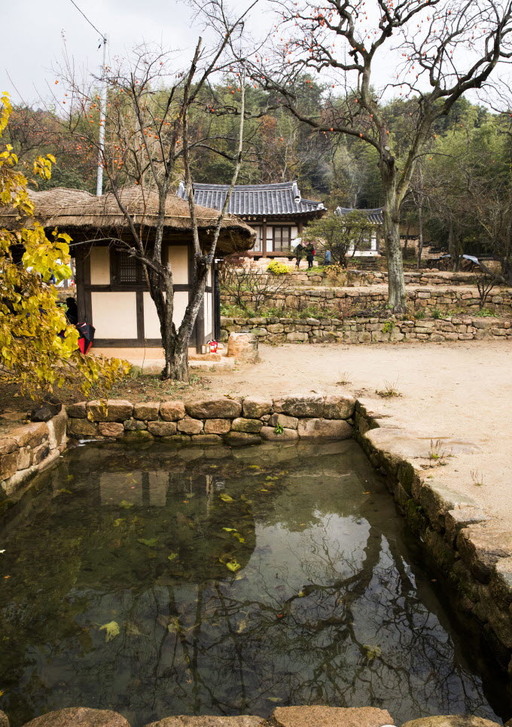 국가지정 명승 제115호로 지정된 강진 백운동 원림 | 세계일보 국가지정 명승 제115호로 지정된 강진 백운동 원림 