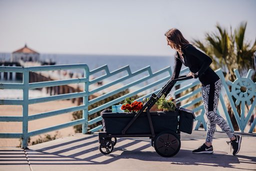“전동웨건으로 오르막길 편하게” 디카트 ‘오르고’, 킥스타터 펀딩 - 뉴스 썸네일 이미지