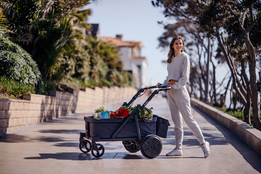 디카트 전동웨건 ‘오르고’, 크라우드 펀딩 ‘인디고고’ 론칭 - 뉴스 썸네일 이미지