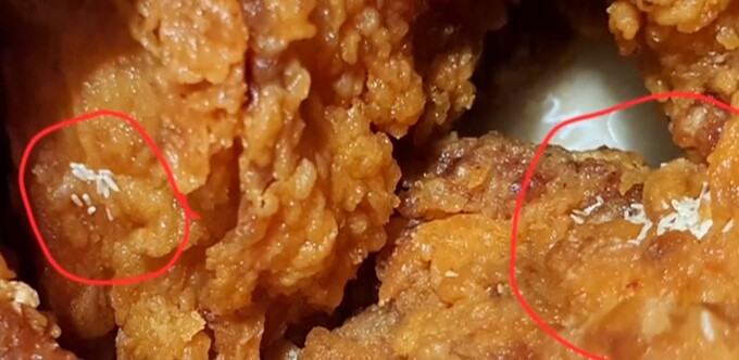 대형마트의 배신…치킨에서 파리·파리알 나와 | 세계일보