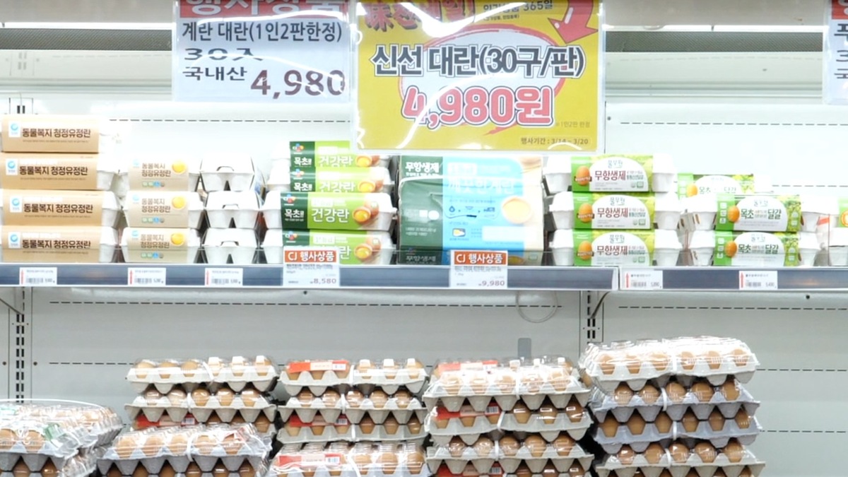 계란 1판에 5000원도 안 하는 ‘이곳’은 어디?