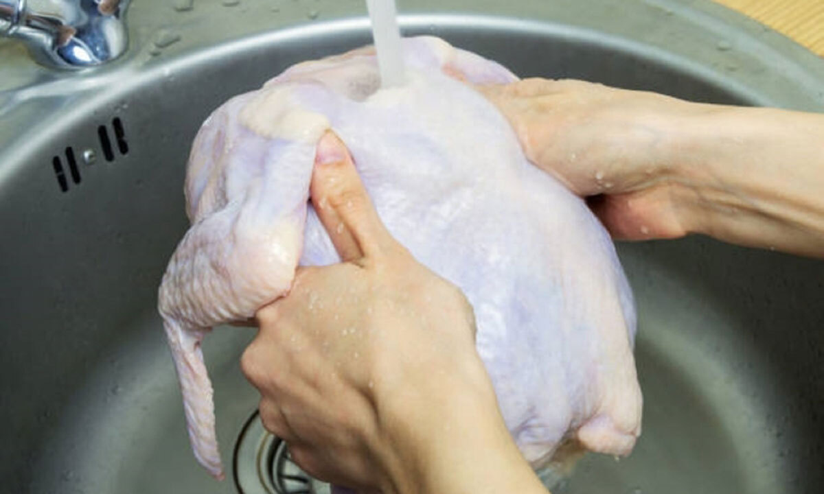 사진 이미지