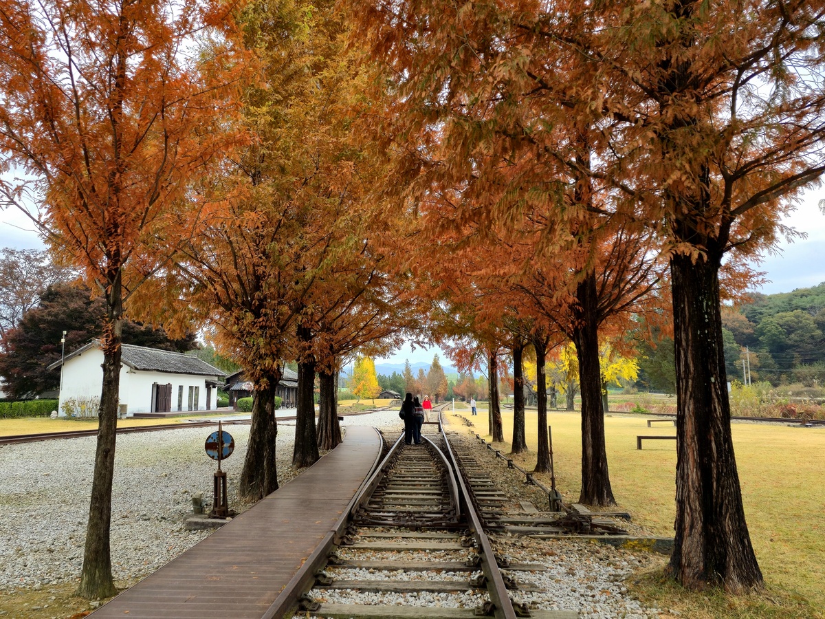 만추 낭만 가득한 남원 서도역 가보셨나요 [최현태 기자의 여행홀릭]