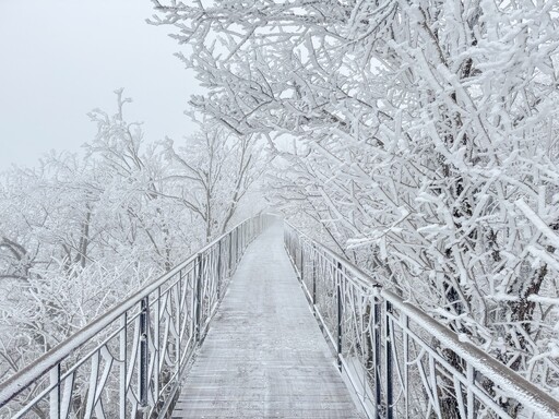 모나용평, 3월초 40cm 대설로 설경 이어진다