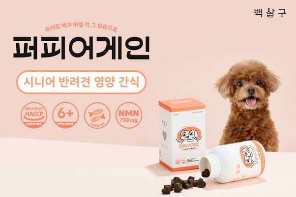 케이뷰티월드와이드, 시니어 반려견 간식 '퍼피어게인' 출시 - 뉴스 썸네일 이미지