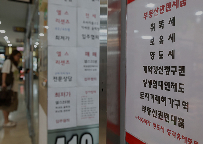 사진 이미지
