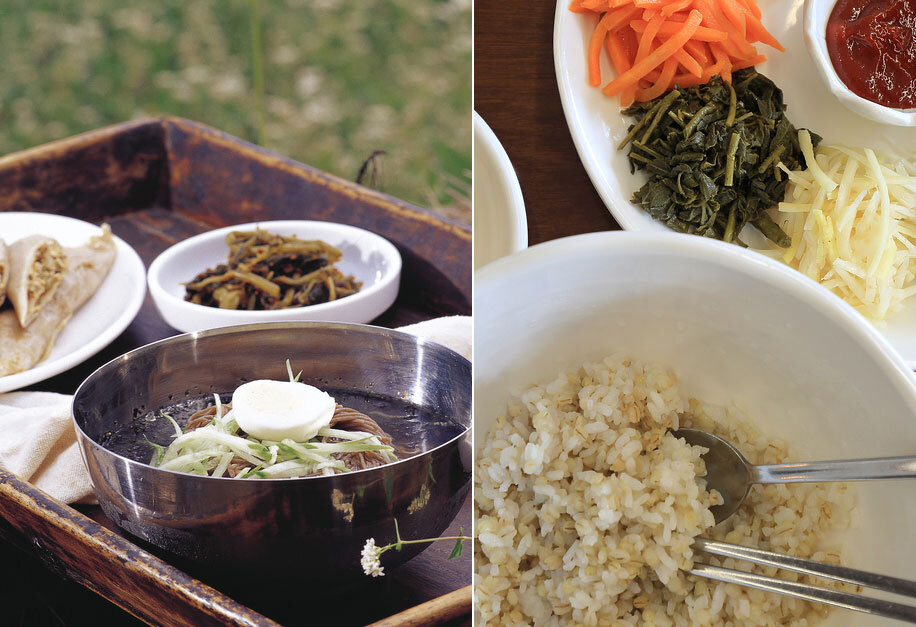 “밥은 먹어야 하는데 땡기는 게 없어요”… 집 나간 입맛 돌아오게 하는 곡물, ‘보리’ [FOOD+]