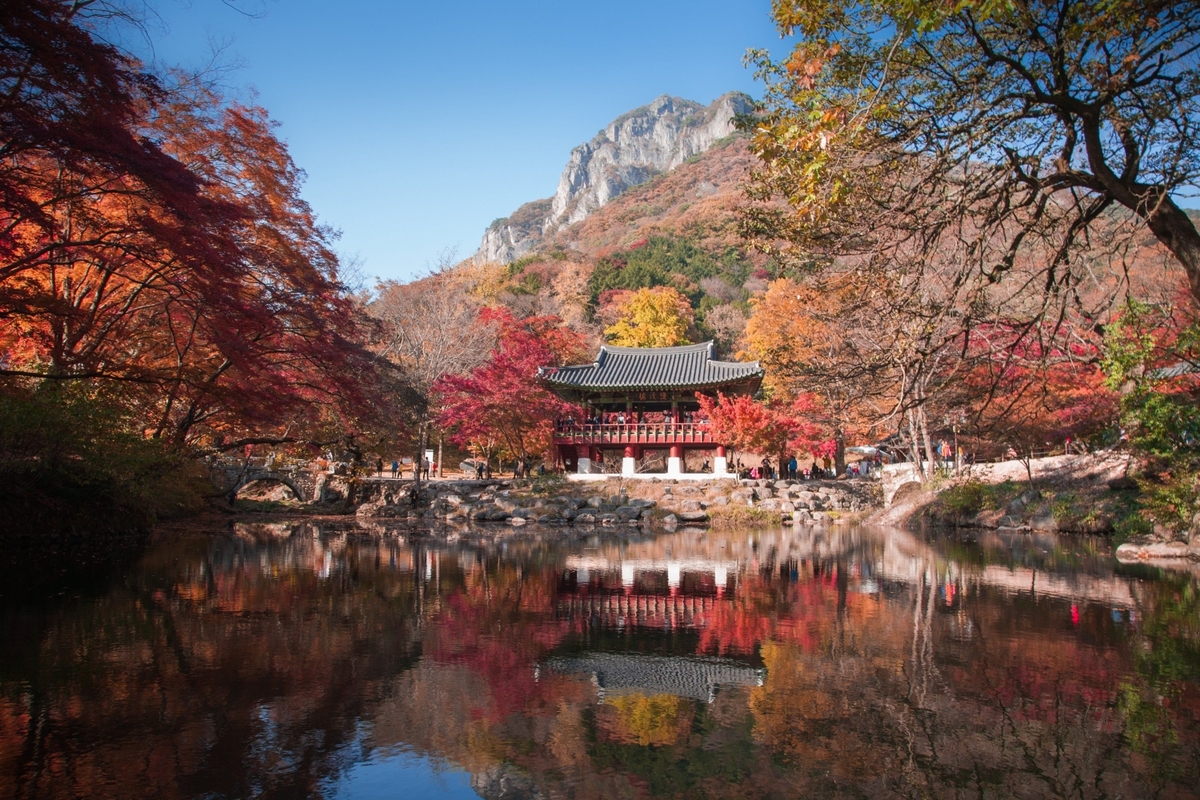 올가을 20만원 쓰면 14만원 환급? ‘반값 여행’ 9곳 꿀혜택 개시