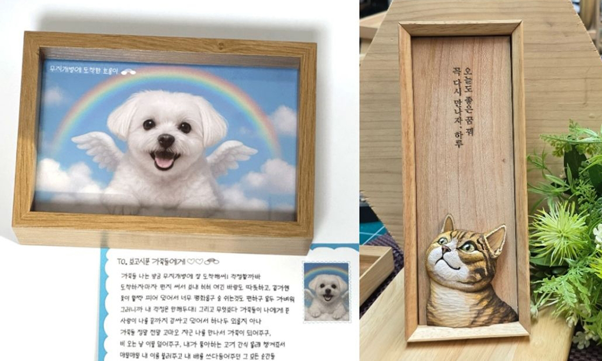 추모 액자·천도재·글쓰기...성장하는 '펫로스 케어 시장' [펫 상실학... - 뉴스 썸네일 이미지