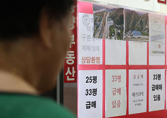 사진 이미지