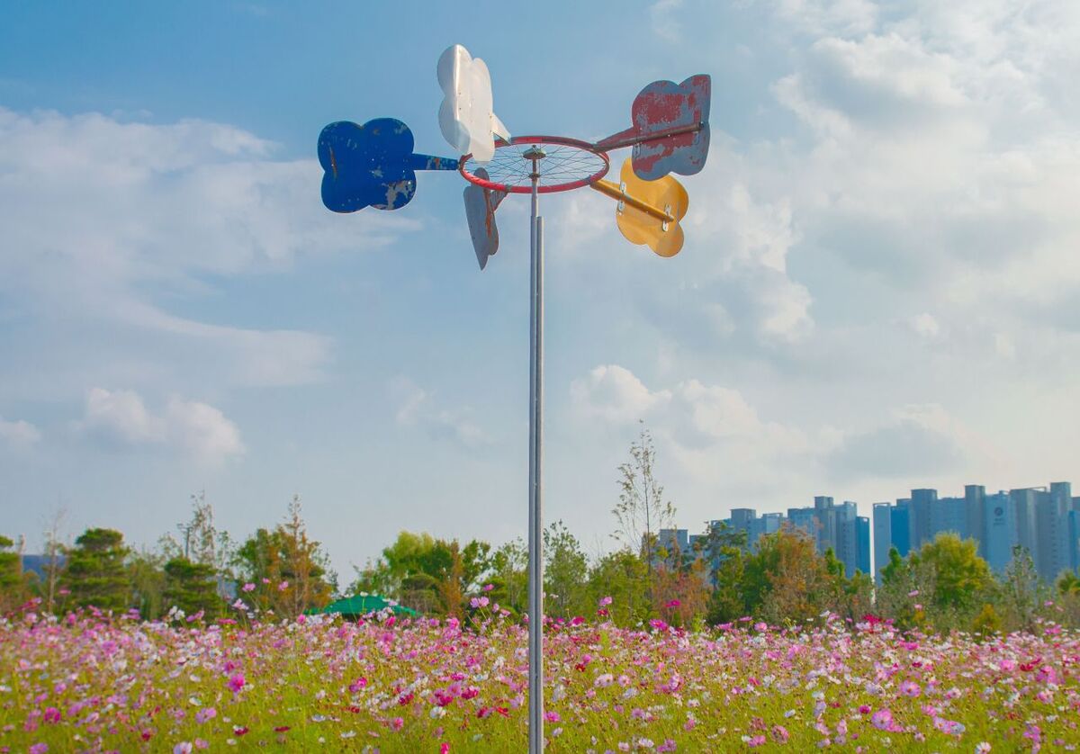 오르막 없는 도심 속 12만㎡ 꽃밭, 조금 더 지나면 못 봐 [여행+]